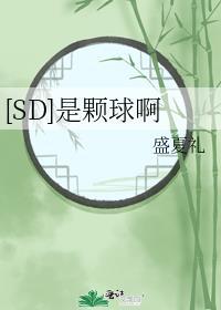 sd是什么?