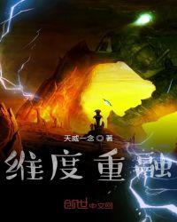 多重维度