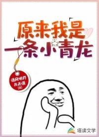 我是一条小青龙电视剧