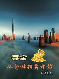寻宝从仓储拍卖开始TXT最新章节列表