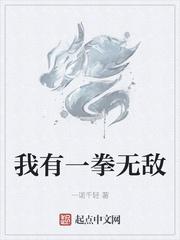 我有一拳如日中天