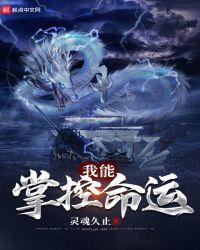 我能掌控命运英文