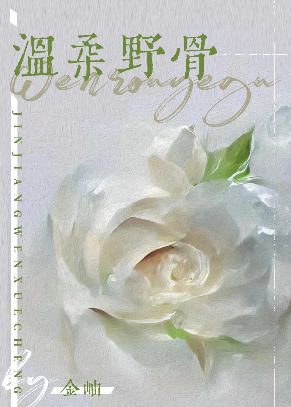 温柔野骨金岫全文免费晋江