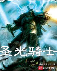 武器圣光骑士