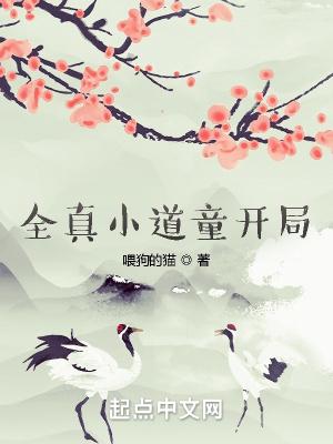 全真小道童开局百科