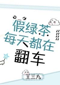 小绿茶共享茶室