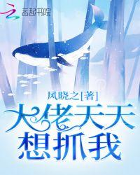 大佬天天上热搜