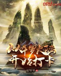 从斗罗开始打卡王枫