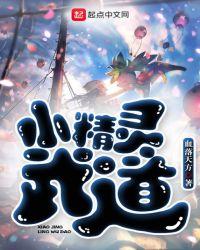 小精灵武道主角精灵