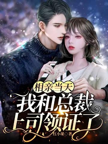 我和总裁上司领证了最新更新