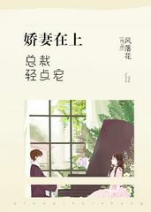 总裁轻点宠电视剧版