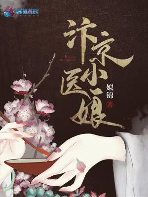 汴京小医娘大结局是什么