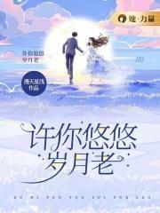 许你岁月静好电视剧演员表