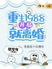 重生1988开局就离婚几兰香