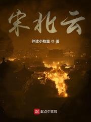 宋北云耶律佛宝奴结局