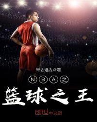 nba之篮球之王全文阅读