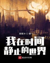 世界控制器飞机篇全文