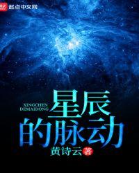 厦门星辰脉呗是什么公司