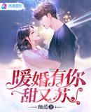 暖婚甜妻