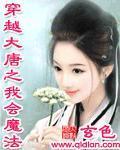 穿越大唐之我会魔法外传
