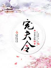 宠夫令 苹果小姐讲的什么故事
