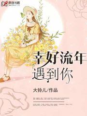 幸好流年遇到你宋晚晴