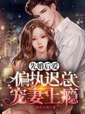 先婚后爱总裁宠妻至上