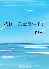 总裁重生追妻记