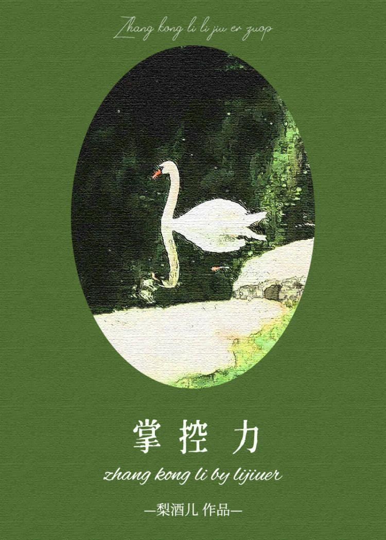 掌控力