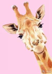 想要死的丧气怪与死不了的神明