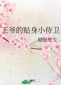 王爷的贴身小侍卫