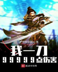 我一刀99999点伤害