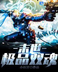 末世极品双魂