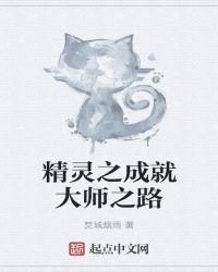 精灵之成就大师之路