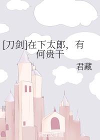[刀剑]在下太郎，有何贵干